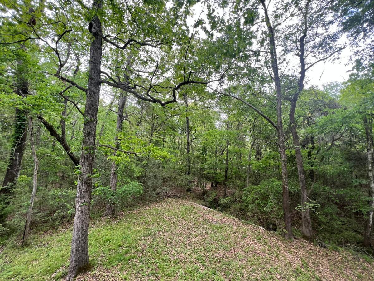 2 Bdrm Treehouse Hideout- Lake Conroe With Boat Ramp 몽고메리 외부 사진