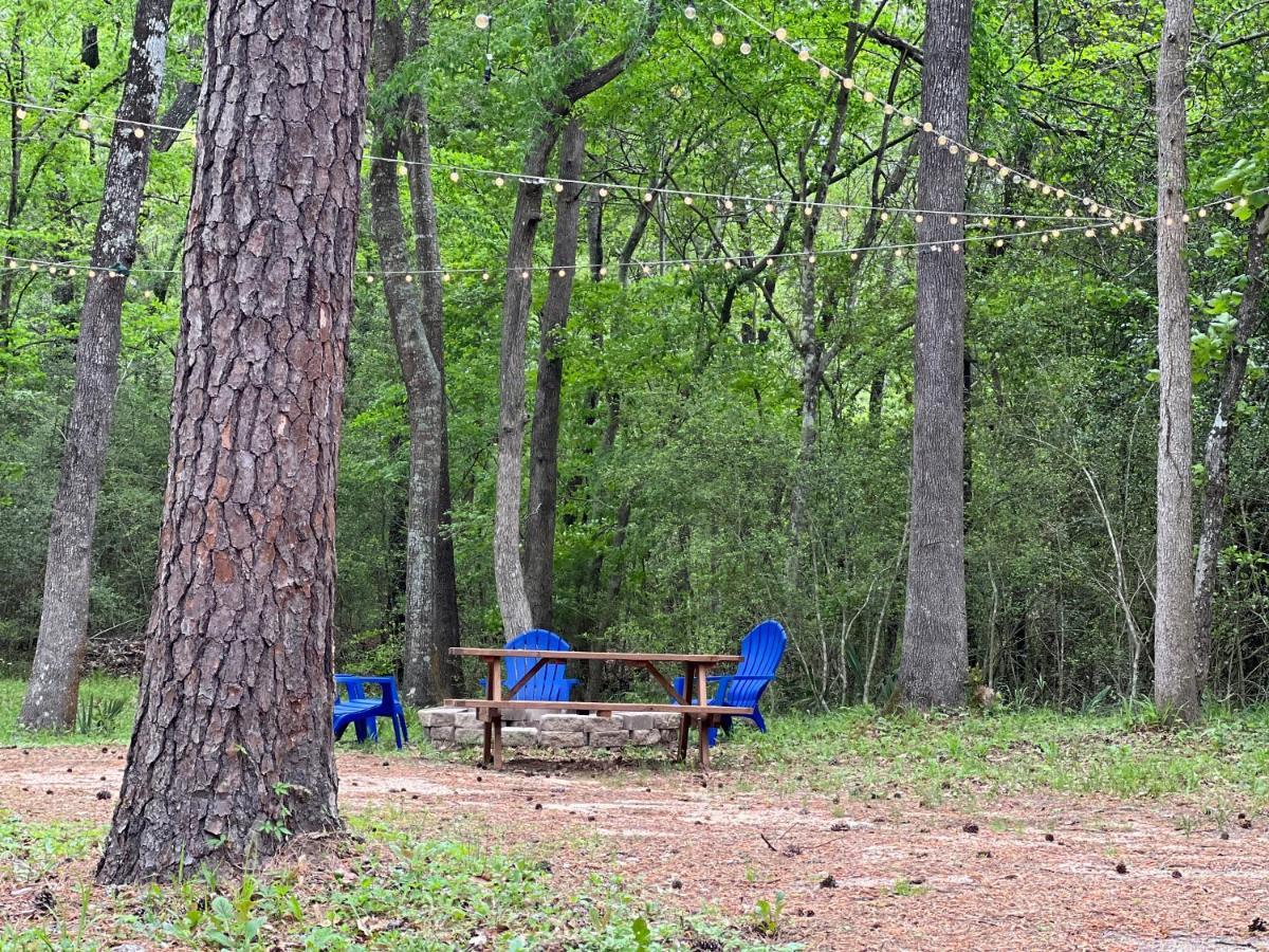 2 Bdrm Treehouse Hideout- Lake Conroe With Boat Ramp 몽고메리 외부 사진